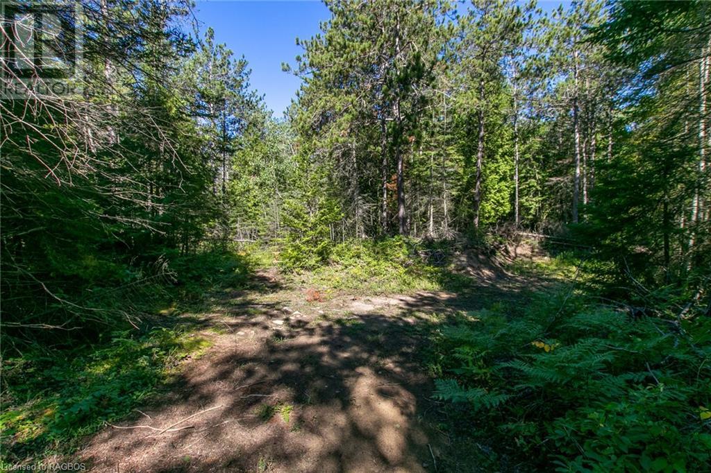 Pt Lt 9 Johnson's Harbour Road, Tobermory, Ontario  N0H 2R0 - Photo 34 - 40311764