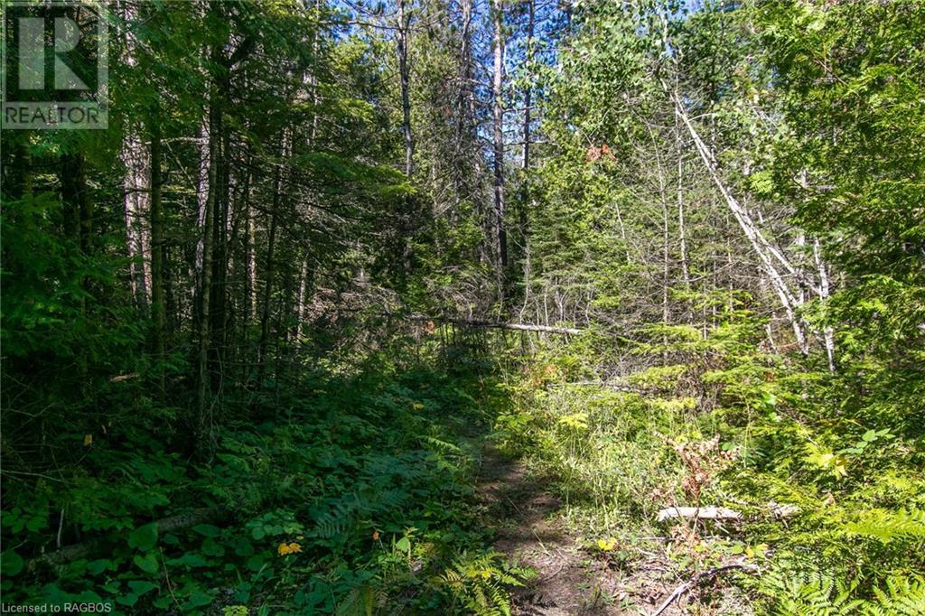 Pt Lt 9 Johnson's Harbour Road, Tobermory, Ontario  N0H 2R0 - Photo 36 - 40311764