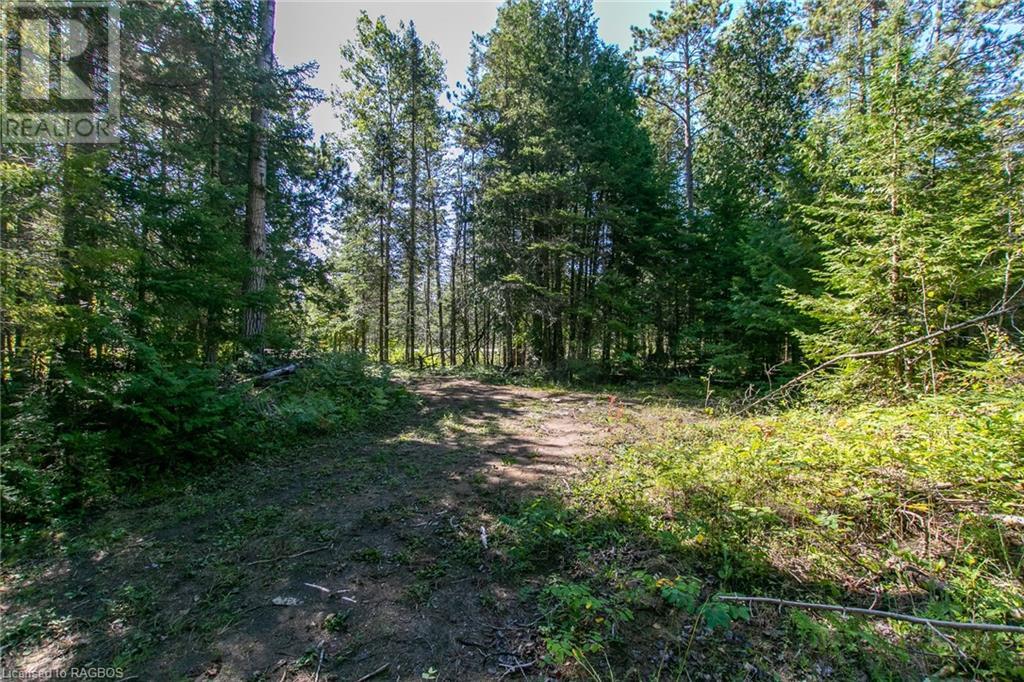 Pt Lt 9 Johnson's Harbour Road, Tobermory, Ontario  N0H 2R0 - Photo 39 - 40311764