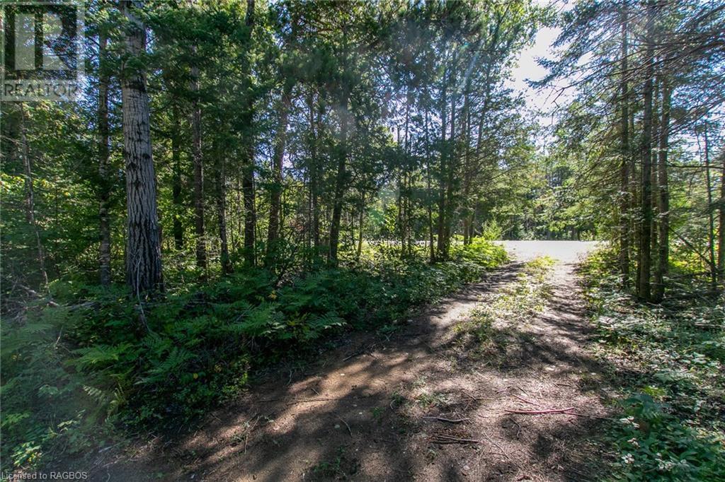 Pt Lt 9 Johnson's Harbour Road, Tobermory, Ontario  N0H 2R0 - Photo 40 - 40311764