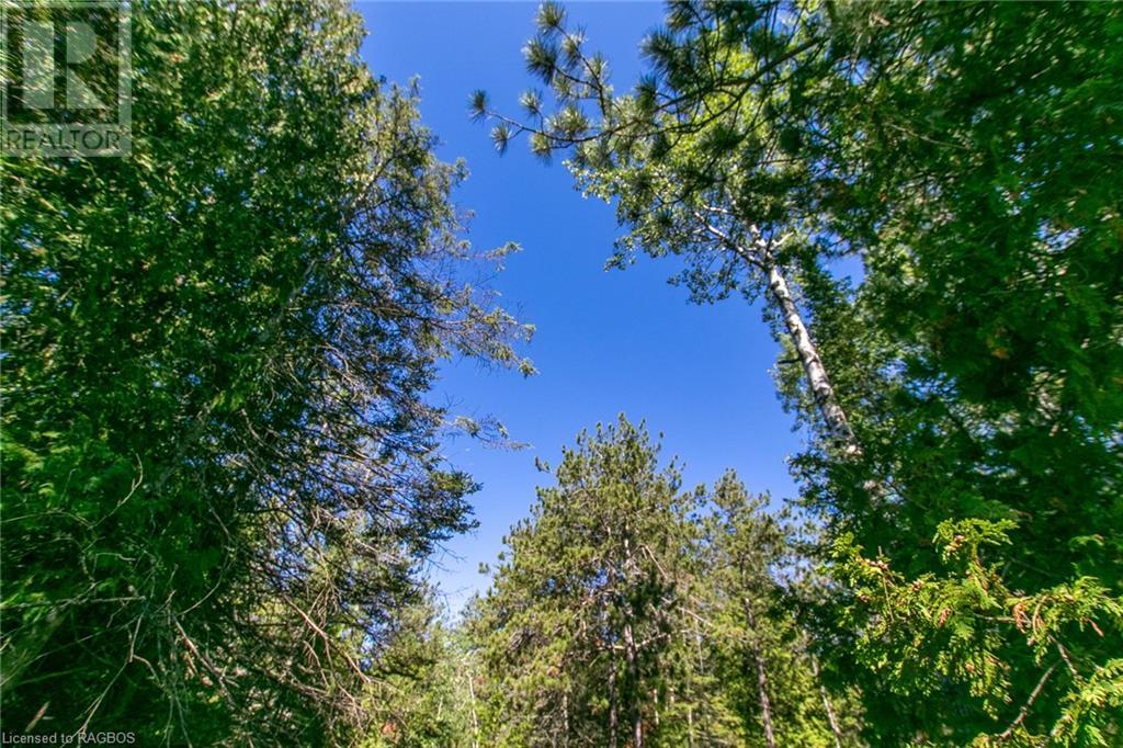 Pt Lt 9 Johnson's Harbour Road, Tobermory, Ontario  N0H 2R0 - Photo 42 - 40311764