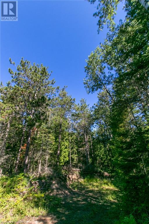 Pt Lt 9 Johnson's Harbour Road, Tobermory, Ontario  N0H 2R0 - Photo 43 - 40311764