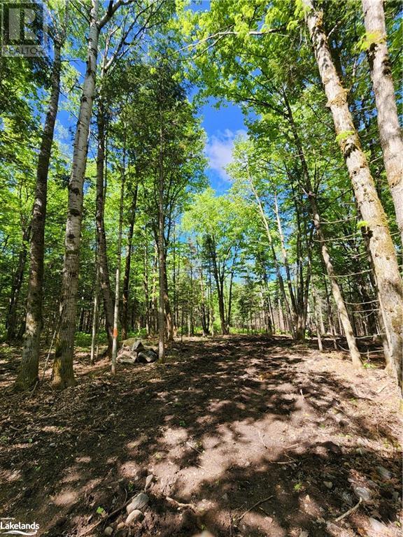 1298 Skyline Drive, Armour, Ontario  P0A 1C0 - Photo 2 - 40312373