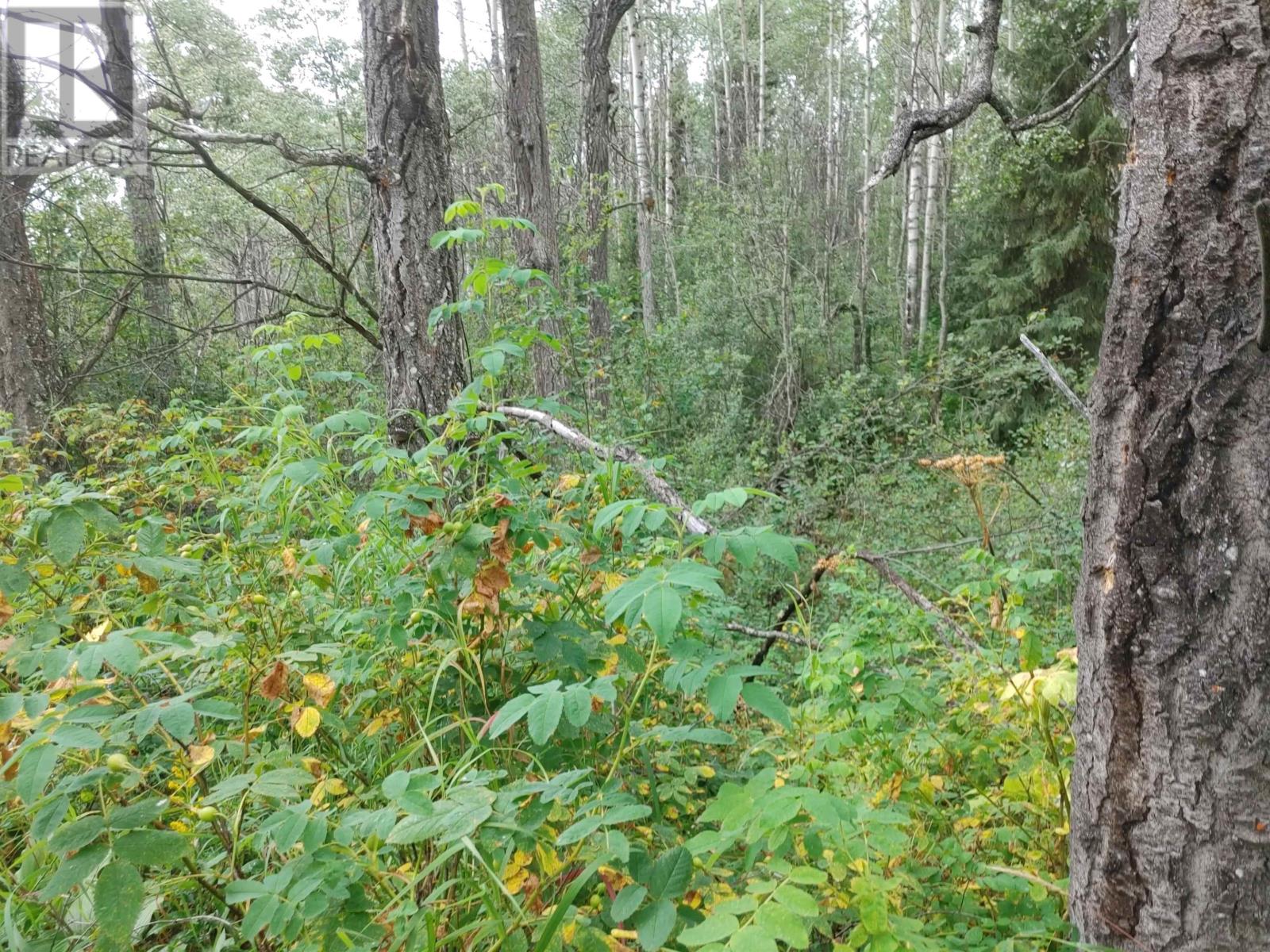 Lot 1 Francois Lake, Vanderhoof, British Columbia  V0J 1L0 - Photo 1 - R2718191