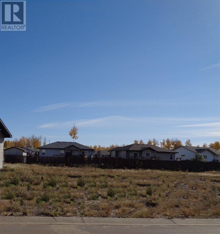 3 Balsam Avenue, High Level, Alberta  T0H 1Z0 - Photo 1 - A1027505