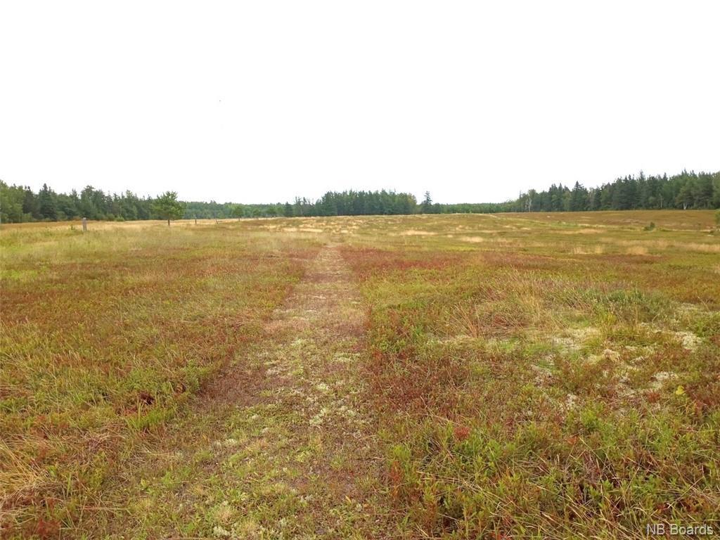 11108 Route 11, Pokemouche, New Brunswick  E8P 1J7 - Photo 38 - NB078205