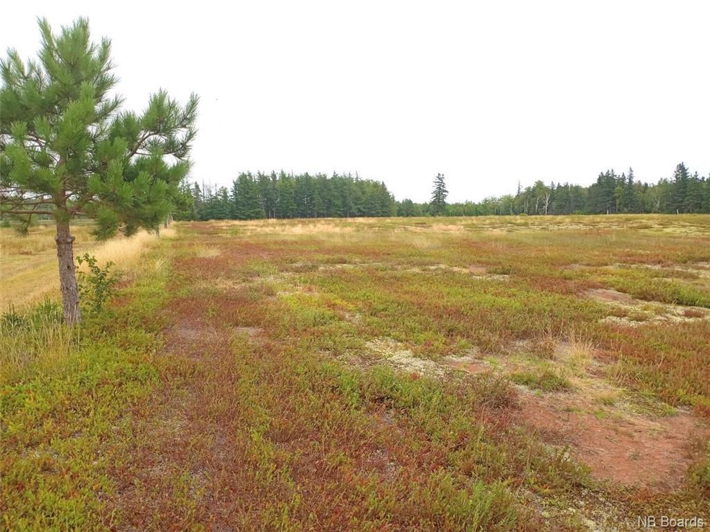 11108 Route 11, Pokemouche, New Brunswick  E8P 1J7 - Photo 36 - NB078205
