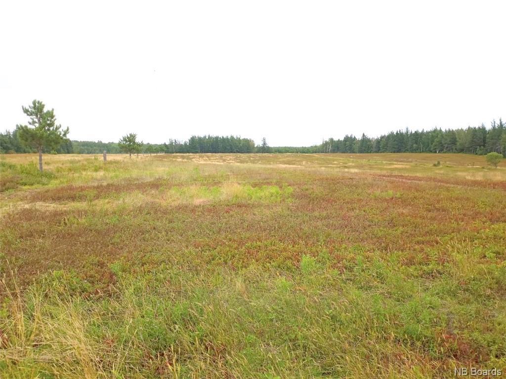 11108 Route 11, Pokemouche, New Brunswick  E8P 1J7 - Photo 37 - NB078205