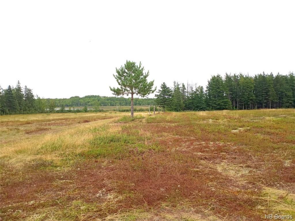11108 Route 11, Pokemouche, New Brunswick  E8P 1J7 - Photo 32 - NB078205