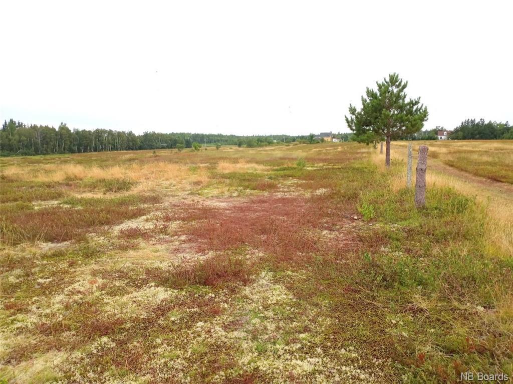 11108 Route 11, Pokemouche, New Brunswick  E8P 1J7 - Photo 34 - NB078205