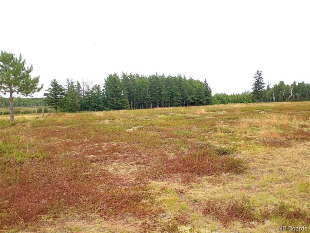 11108 Route 11, Pokemouche, New Brunswick  E8P 1J7 - Photo 33 - NB078205