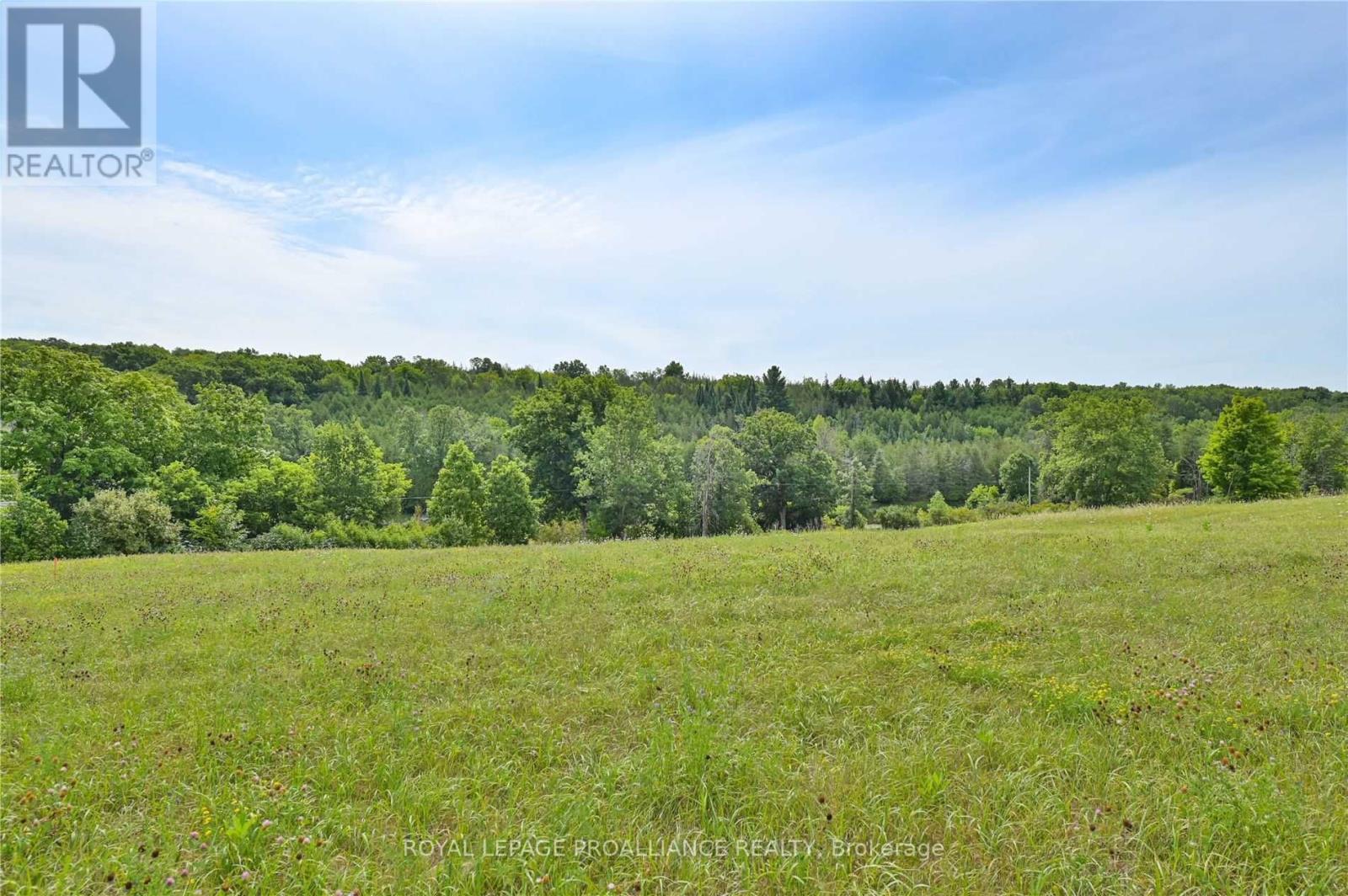 Ptlt40 Concessions 4 Pt 2 Rd, Tyendinaga, Ontario K0K 2N0 - Photo 5 - X5743235