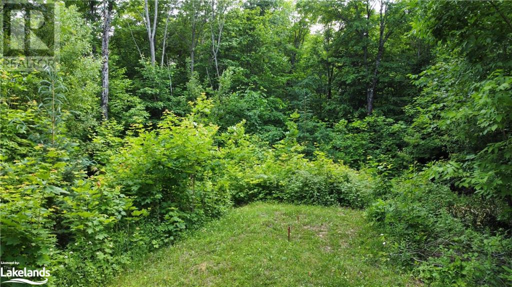 872 Commanda Lake Road, Commanda, Ontario  P0H 1W0 - Photo 8 - 40305837