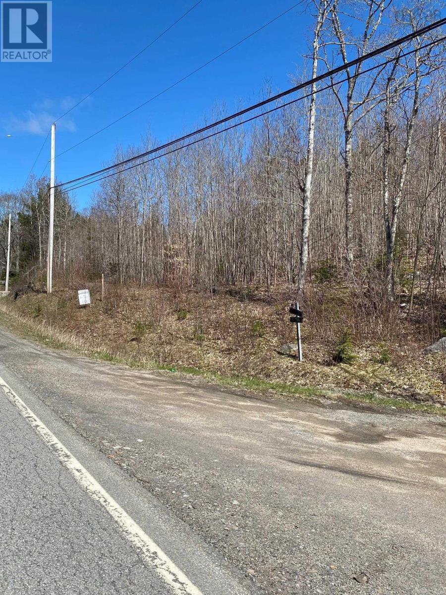 Lot 5 Highway 10, Pinehurst, Nova Scotia  B0R 1E0 - Photo 7 - 202111797