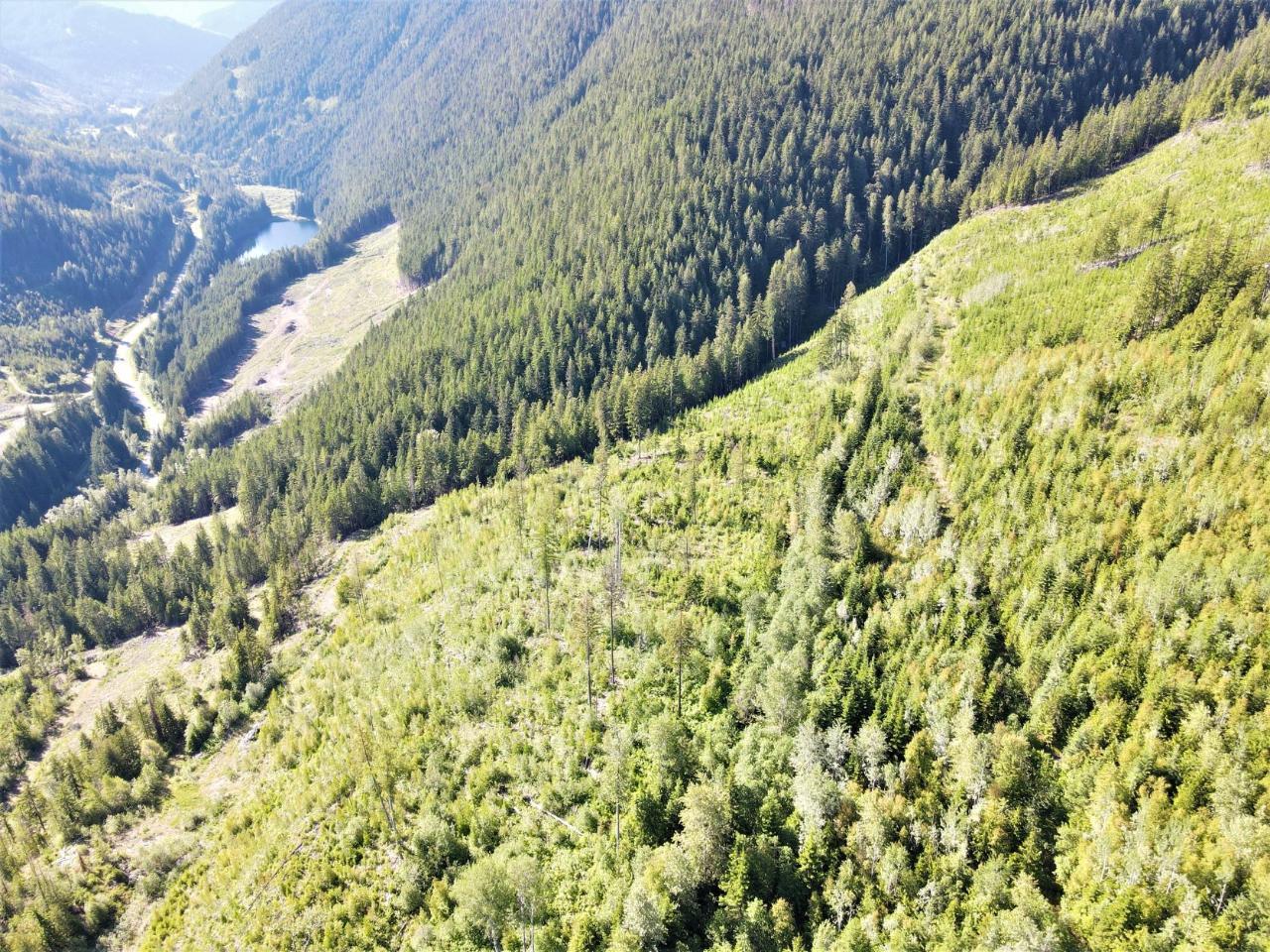 Lot 2 Highway 6, Nelson, British Columbia  V1L 5P3 - Photo 7 - 2467300