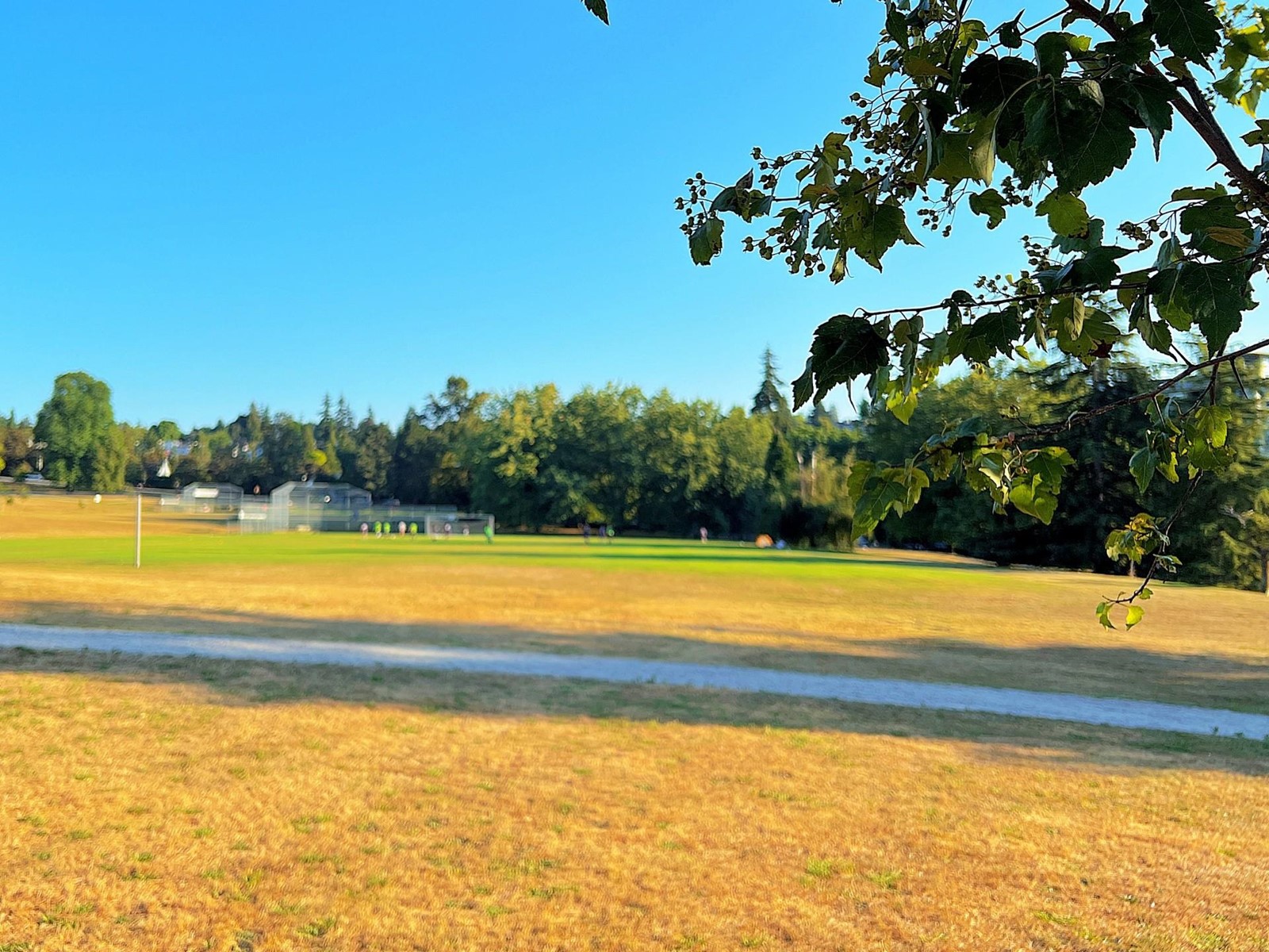 4555 MAGNOLIA STREET, vancouver, British Columbia