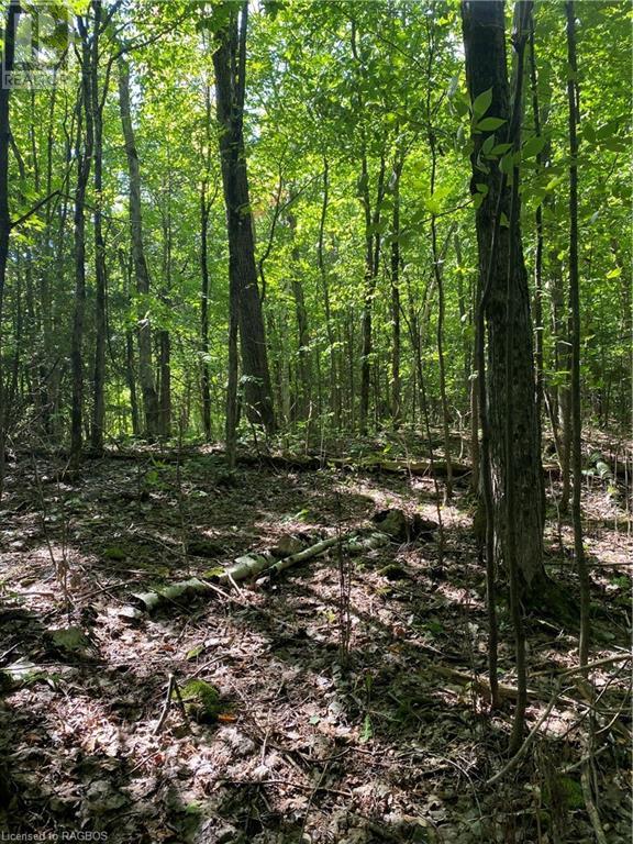 Land in Georgian Bluffs Ontario