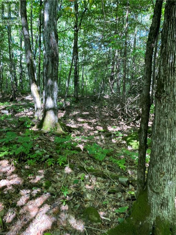 Lorem Ipsum Dolor Sit Amet, Consec, Georgian Bluffs, Ontario  N0H  - Photo 2 - DEMO24855523