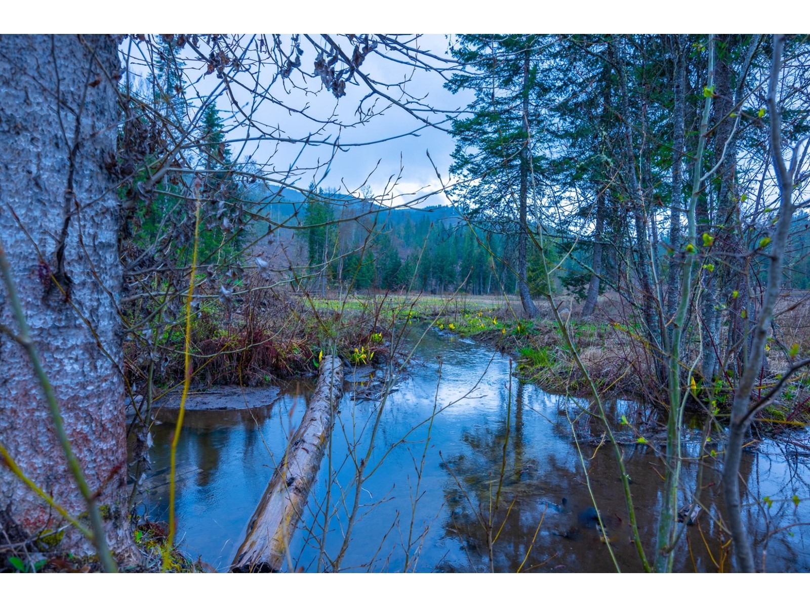 1097 Lakeview Arrow Creek Road, Creston, British Columbia  V0B 1G1 - Photo 5 - 2467620