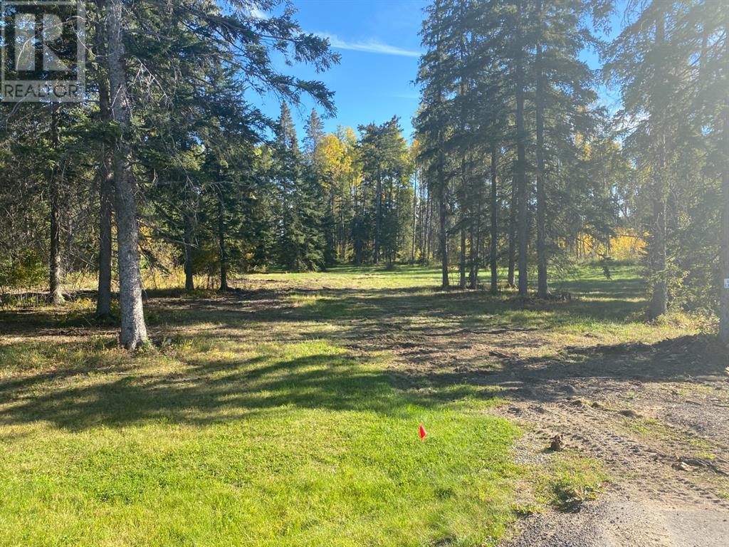 202 High Timber  Place, Rural Clearwater County, Alberta  T4T 1A7 - Photo 1 - A1259101