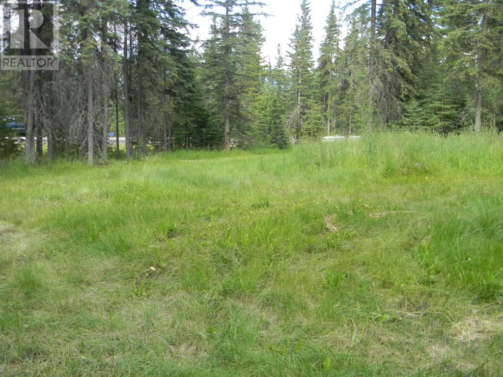 131 Meadow Ponds  Drive, Rural Clearwater County, Alberta  T4T 1A7 - Photo 6 - A1021056