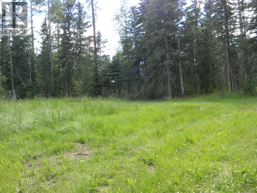 131 Meadow Ponds  Drive, Rural Clearwater County, Alberta  T4T 1A7 - Photo 7 - A1021056