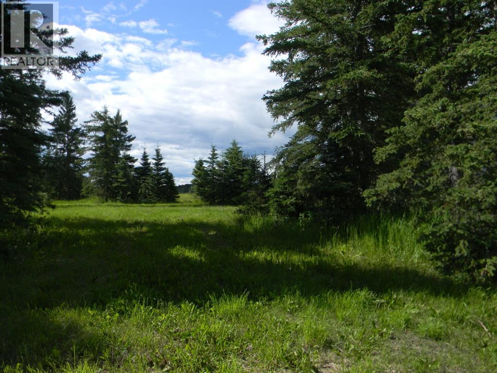 108 Meadow Ponds  Drive, Rural Clearwater County, Alberta  T4T 1A7 - Photo 4 - A1021134