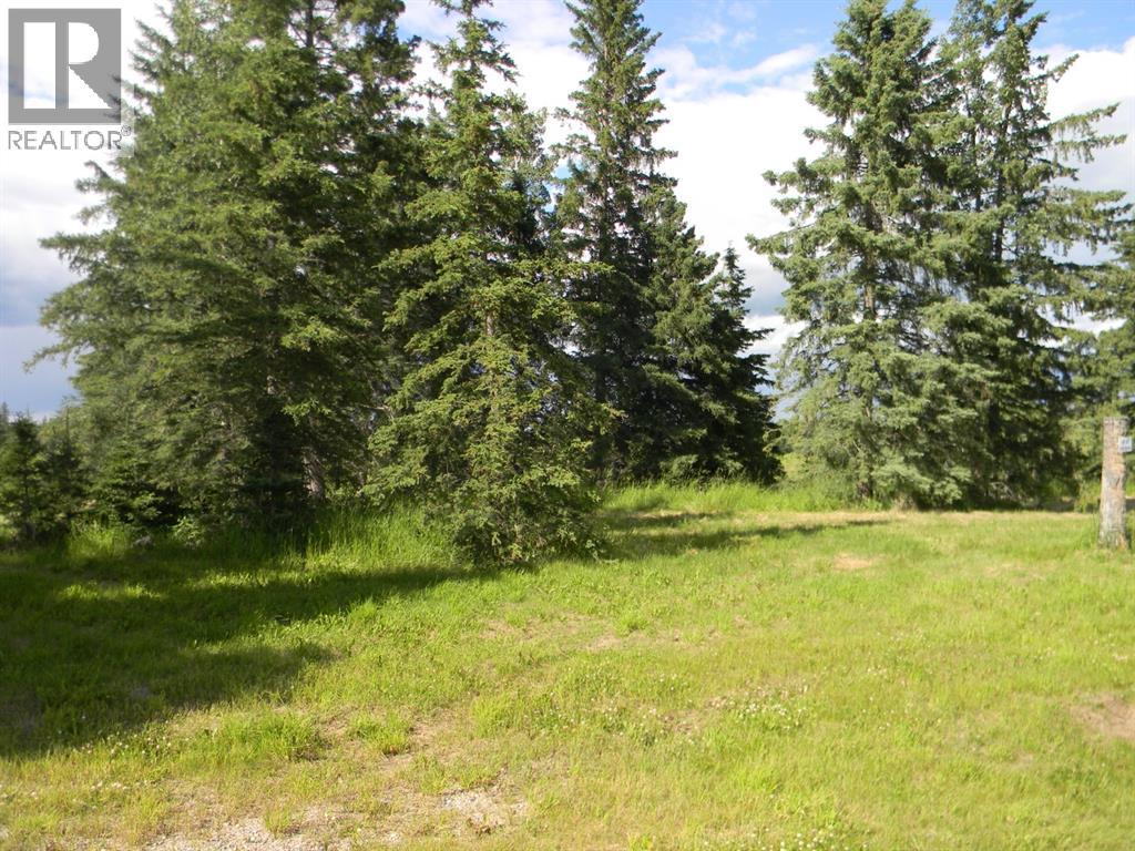 108 Meadow Ponds  Drive, Rural Clearwater County, Alberta  T4T 1A7 - Photo 7 - A1021134