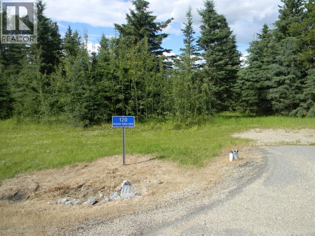 120 Meadow Ponds  Drive, Rural Clearwater County, Alberta  T4T 1A7 - Photo 1 - A1021107