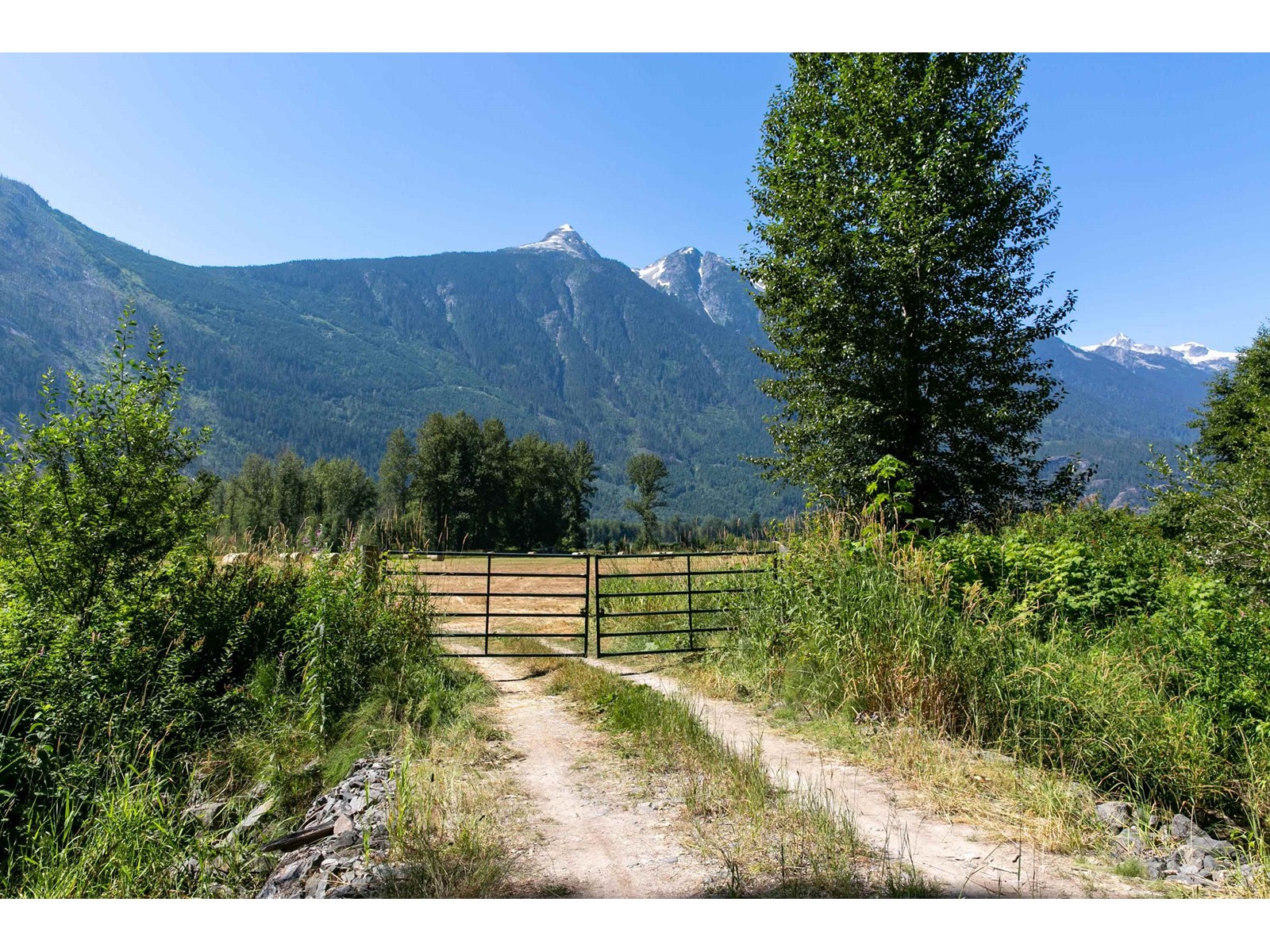 9505 Lillooet Forest Service Road, Pemberton, British Columbia  V0N 2L0 - Photo 30 - R2727152