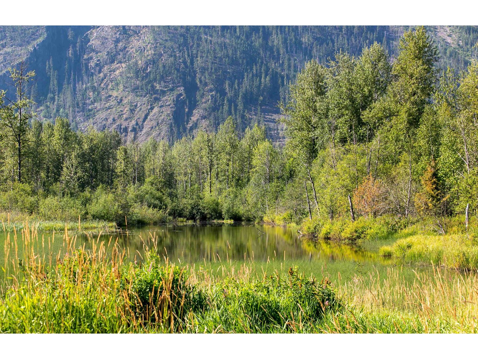 9505 Lillooet Forest Service Road, Pemberton, British Columbia  V0N 2L0 - Photo 5 - R2727152