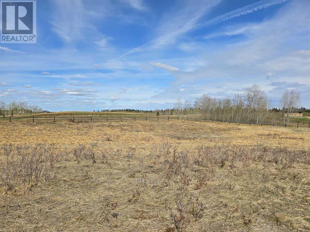 503 Dunes Ridge Drive, Rural Ponoka County, Alberta  T4J 0B3 - Photo 9 - CA0129828