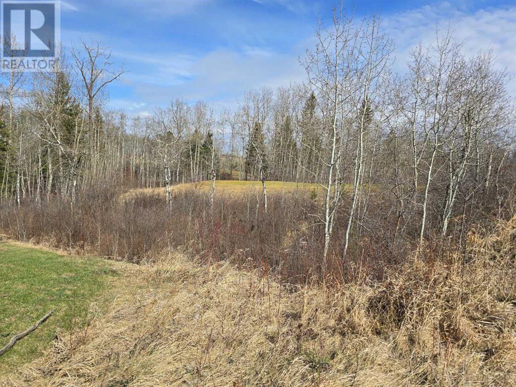 125 Wolf Run Drive, Rural Ponoka County, Alberta  T4J 1R3 - Photo 1 - A1193584