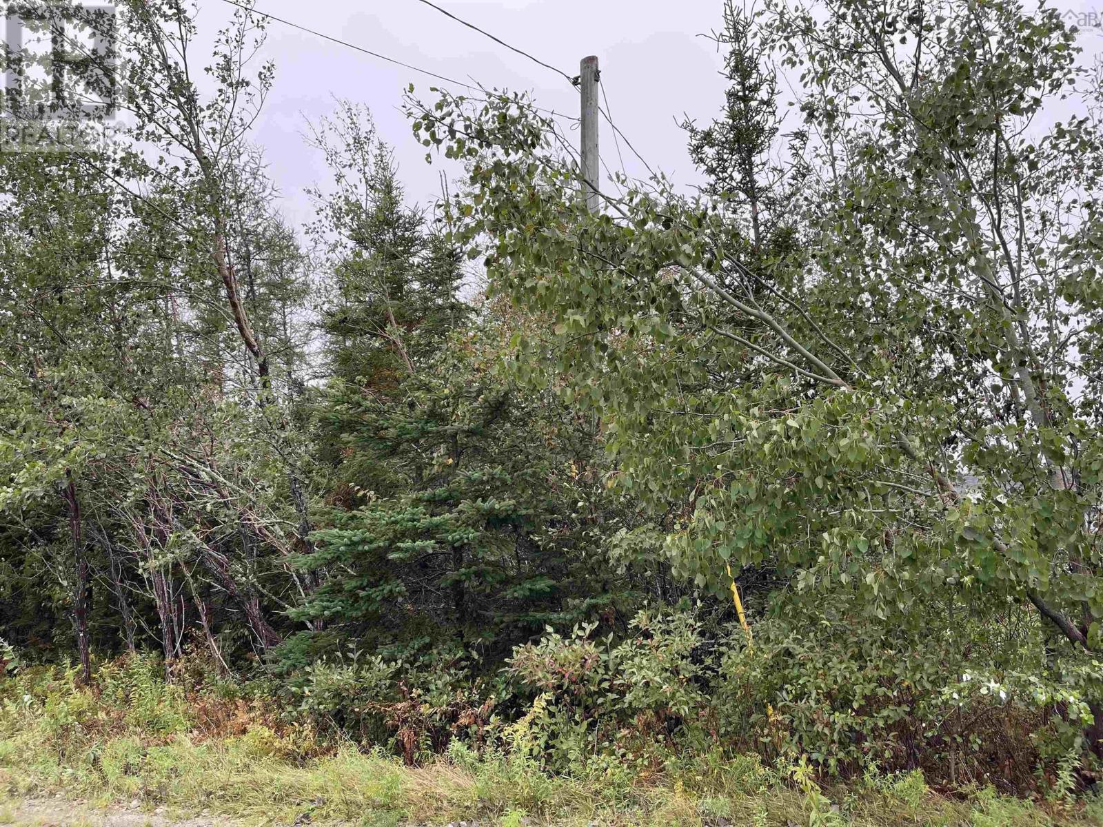 Nauglers Settlement Road, Moser River, Nova Scotia  B0J 2K0 - Photo 2 - 202223183