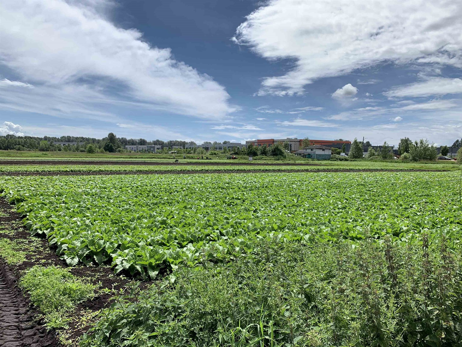 7518 NORTH FRASER WAY, burnaby, British Columbia