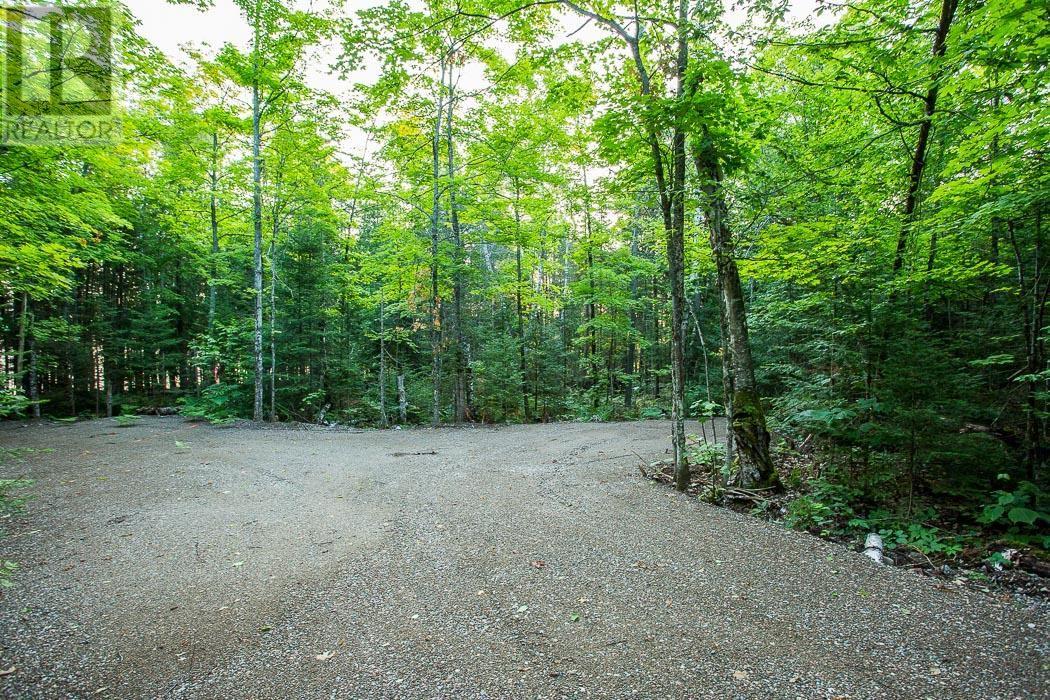 Lot 26 Richmond Bay Rd, Hilton Township, St. Joseph Island, Ontario  P0R 1G0 - Photo 12 - SM133144