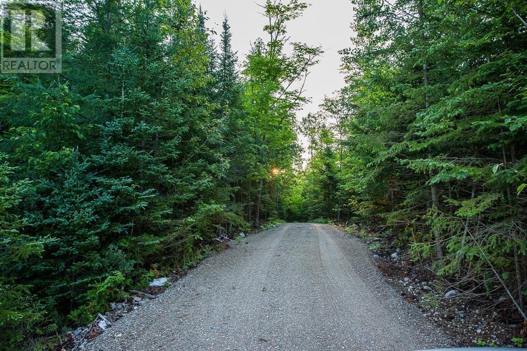 Lot 27 Richmond Bay Rd, Hilton Township, St. Joseph Island, Ontario  P0R 1G0 - Photo 11 - SM133145