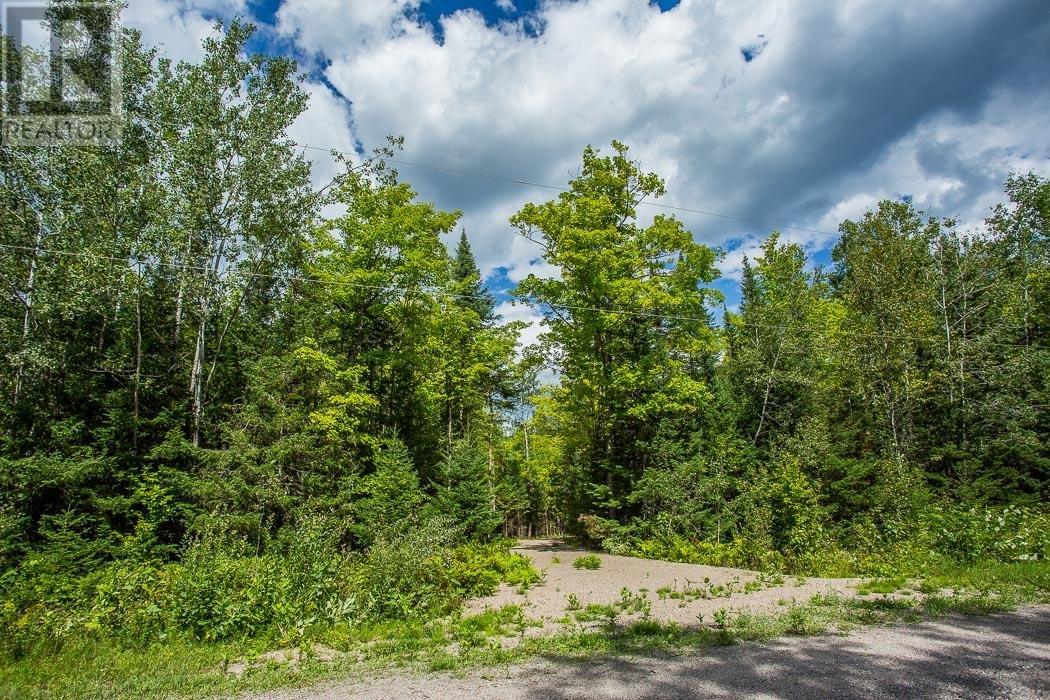 Lot 32 Richmond Bay Rd, Hilton Township, St. Joseph Island, Ontario  P0R 1G0 - Photo 3 - SM133150