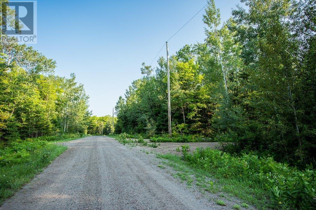 Lot 32 Richmond Bay Rd, Hilton Township, St. Joseph Island, Ontario  P0R 1G0 - Photo 37 - SM133150
