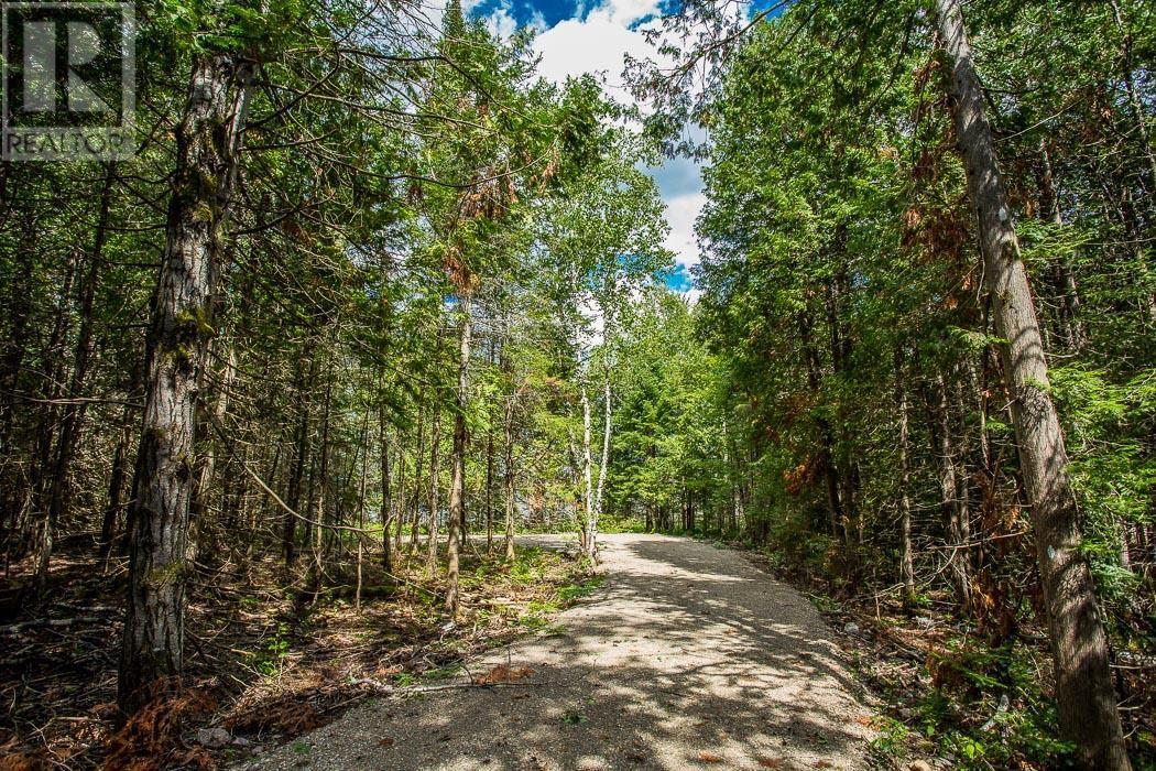 Lot 32 Richmond Bay Rd, Hilton Township, St. Joseph Island, Ontario  P0R 1G0 - Photo 6 - SM133150