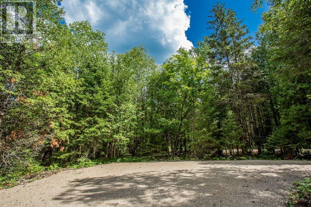 Lot 32 Richmond Bay Rd, Hilton Township, St. Joseph Island, Ontario  P0R 1G0 - Photo 8 - SM133150