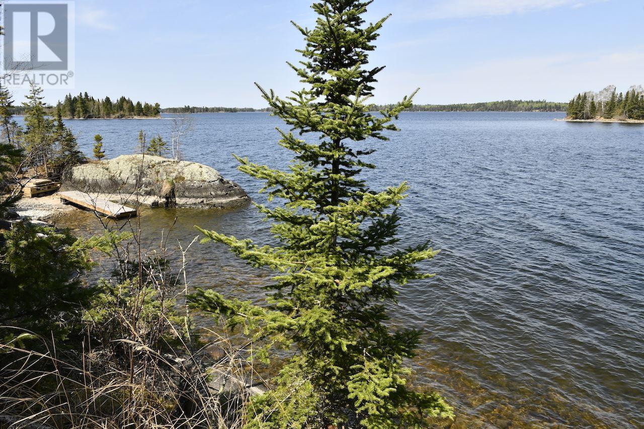 1 Yellow Girl Bay, Sioux Narrows-Nestor Falls, Ontario  P0X 1N0 - Photo 23 - TB181506