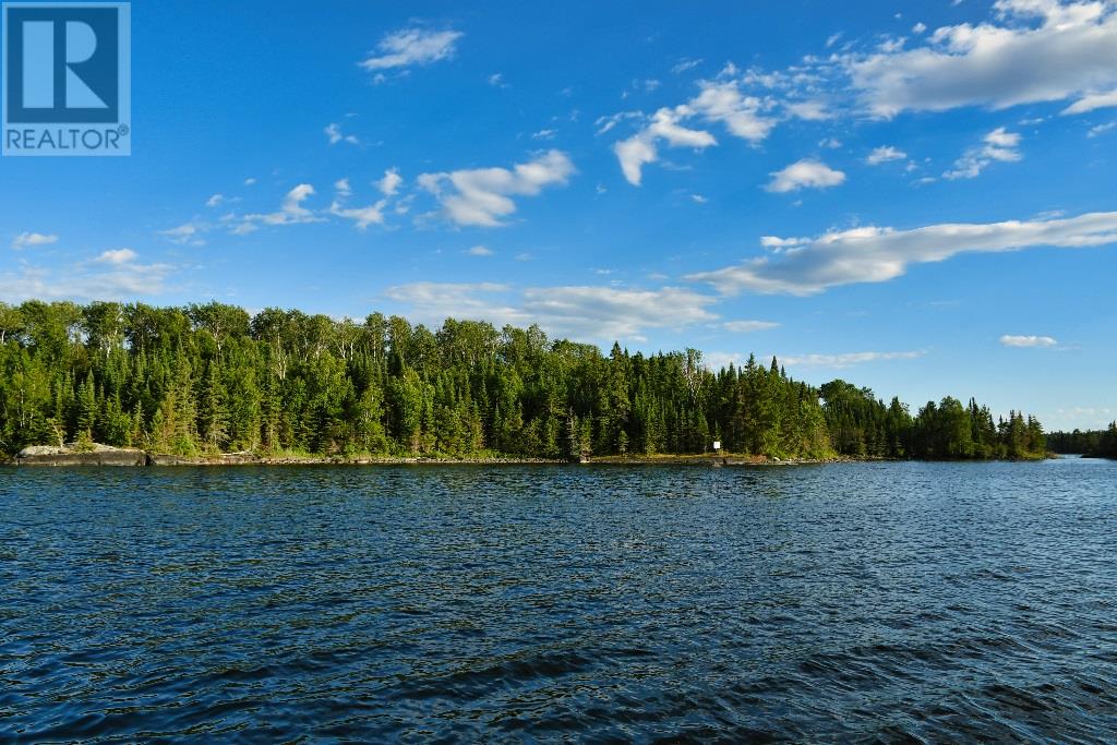 1 Yellow Girl Bay, Sioux Narrows-Nestor Falls, Ontario  P0X 1N0 - Photo 30 - TB181506