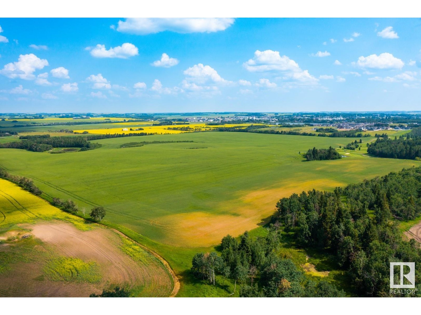 Twp 360 Rr 283c, Rural Red Deer County, Alberta  T4G 1R7 - Photo 8 - E4257082