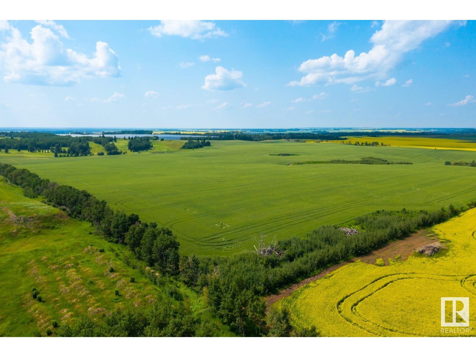 Twp 360 Rr 283c, Rural Red Deer County, Alberta  T4G 1R7 - Photo 10 - E4257082