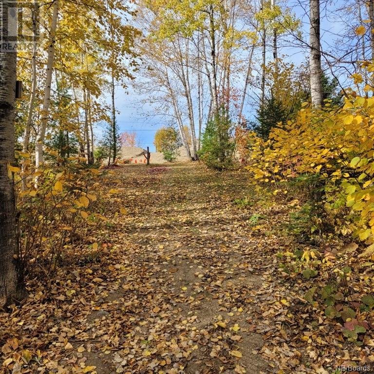 00 Belair Street, Grand Sault/grand Falls, New Brunswick  E3Y 1A8 - Photo 10 - NB081131