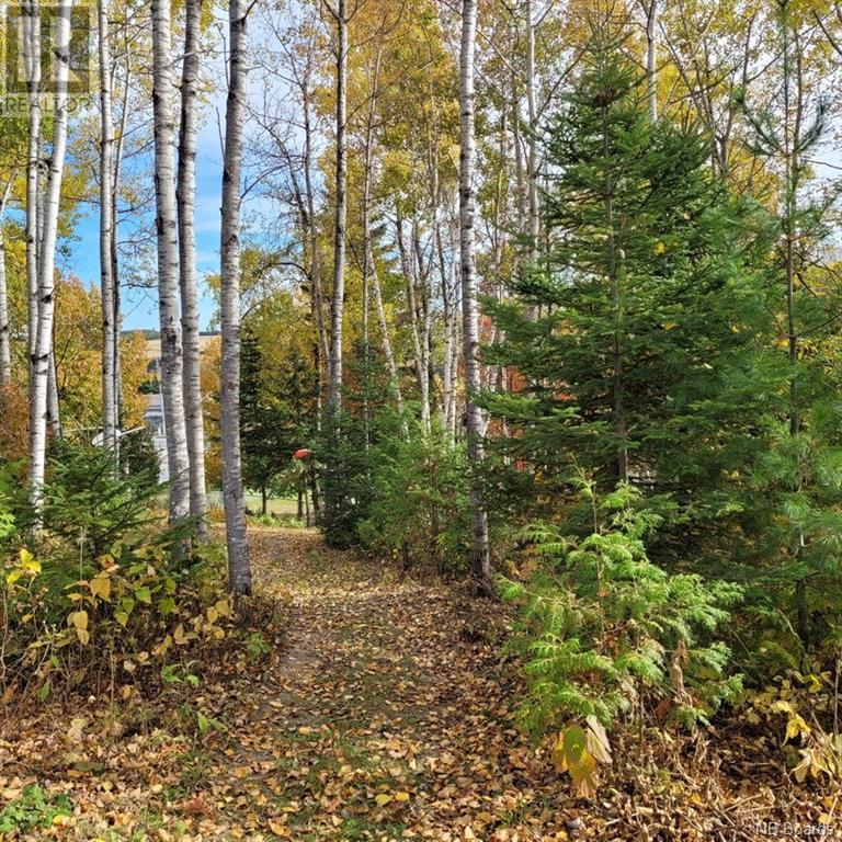 00 Belair Street, Grand Sault/grand Falls, New Brunswick  E3Y 1A8 - Photo 11 - NB081131