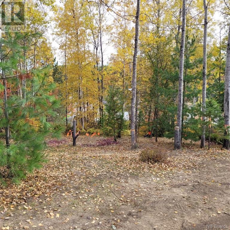 00 Belair Street, Grand Sault/grand Falls, New Brunswick  E3Y 1A8 - Photo 12 - NB081131