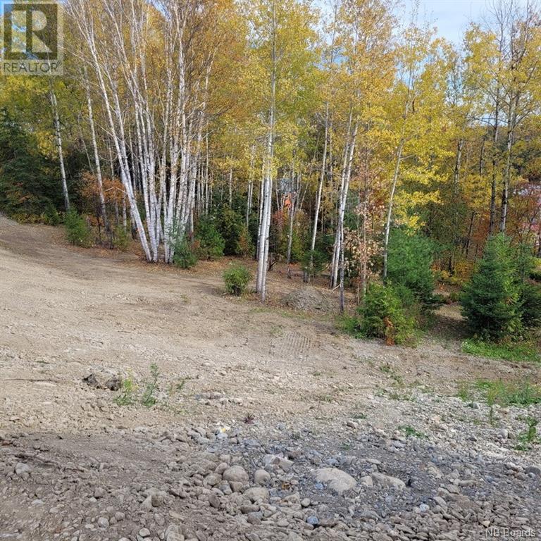 00 Belair Street, Grand Sault/grand Falls, New Brunswick  E3Y 1A8 - Photo 14 - NB081131