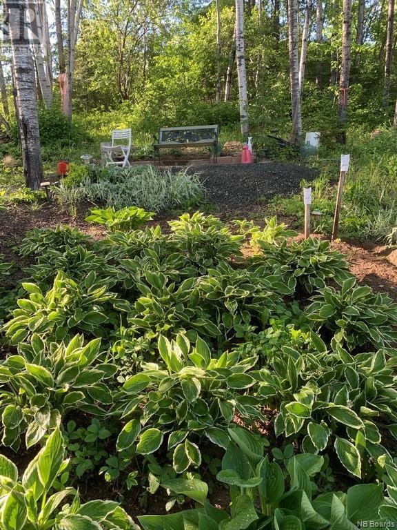 00 Belair Street, Grand Sault/grand Falls, New Brunswick  E3Y 1A8 - Photo 8 - NB081131